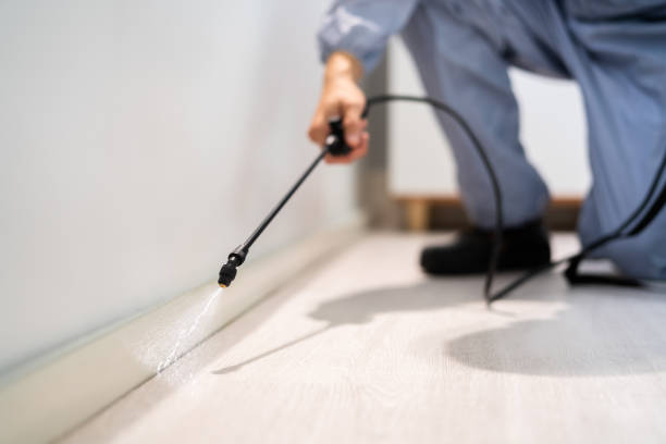 Bed Bug Pre-Treatment Preparation Assessment in Bladenboro
