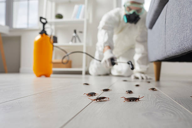 Post-Treatment Bed Bug Interceptor Monitoring in Bladenboro