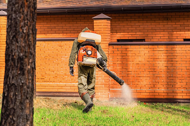 Bed Bug Clearance Verification and Documentation in Bladenboro